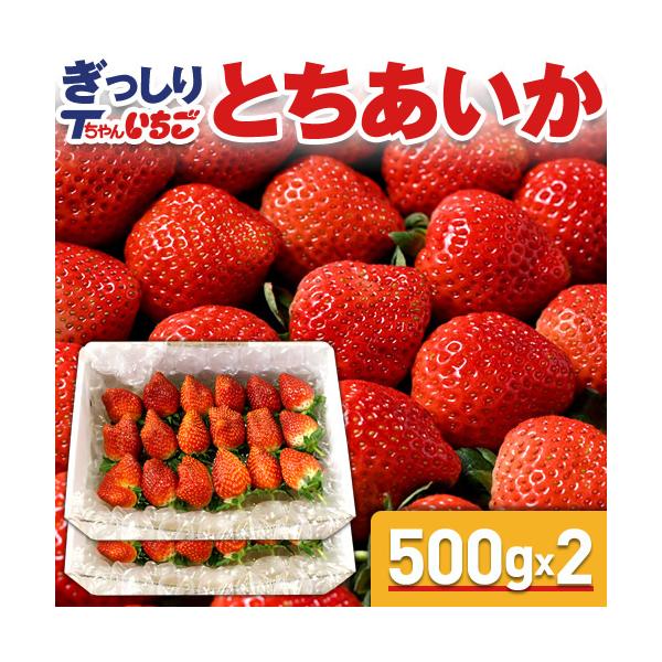 いちご　2点おまとめ 送料無料】生食できる夏イチゴ 6月〜11月発送 小粒 2S〜3Sサイズ