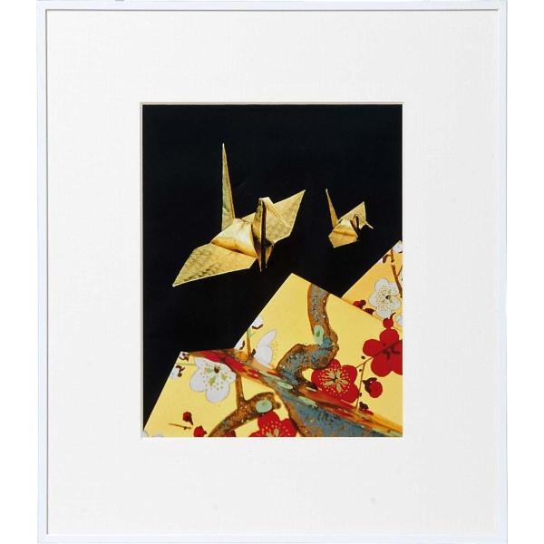  tHgt[   Ǌ| z Wp  PR[gLi[ ʐ^z L 6 zCg