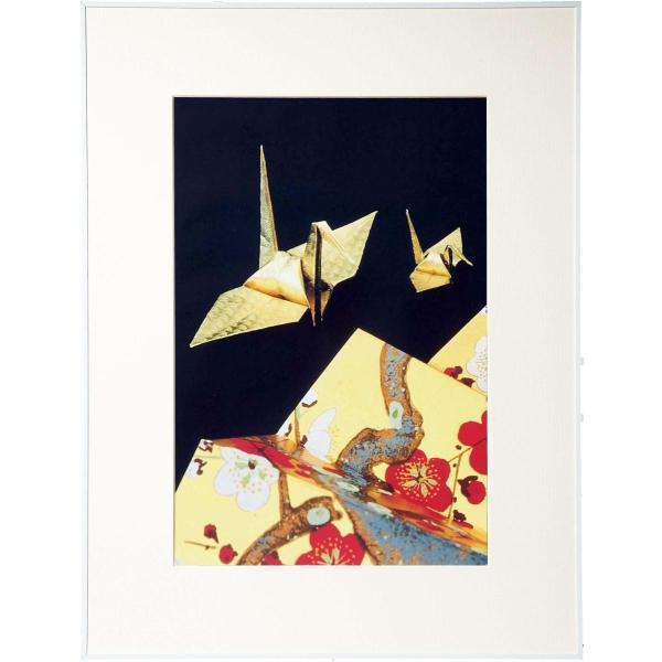  tHgt[   Ǌ| z Wp  PR[gLi[ ʐ^z L A3mr ANgp zCg