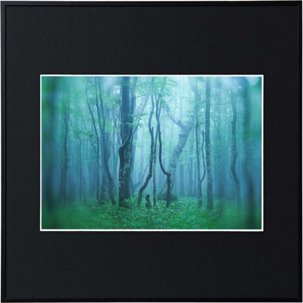    Ǌ| z Wp PR[gLi[ ʐ^z M[ A4XNGA ubN tHgt[