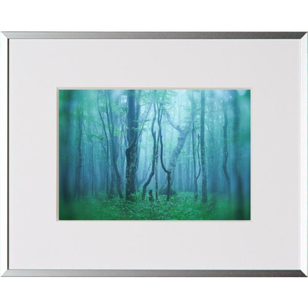    Ǌ| z Wp PR[gLi[ ʐ^z M[ Lrl(2L) Vo[ tHgt[