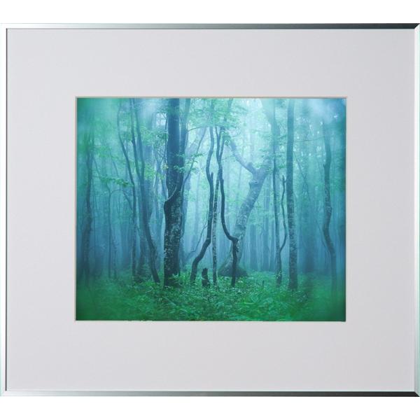    Ǌ| z Wp PR[gLi[ ʐ^z M[ 4 Vo[ tHgt[