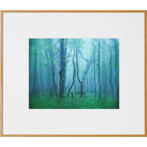    Ǌ| z Wp PR[gLi[ ʐ^z M[ 6 i` tHgt[