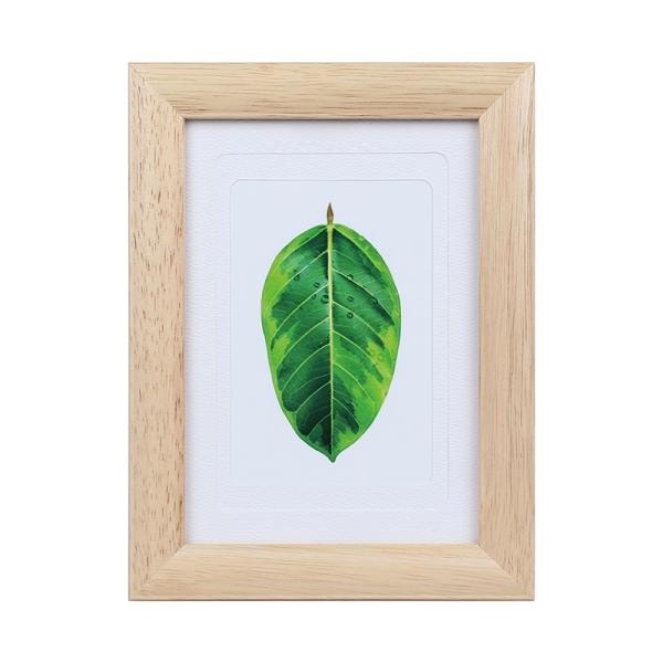  tHgt[ L 2L |Xg ʐ^ Ǌ|  X^ht PR[gLi[ ʐ^ S̖ 2L nKL LTCYΉ i`