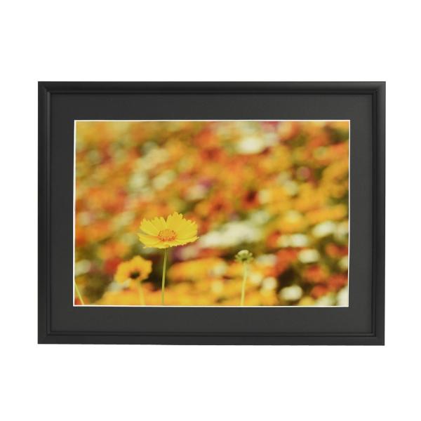  tWJ[ tHgt[ Vv  Ǌ| z Wp  xmtB A~z A33 6؃TCY  ubN