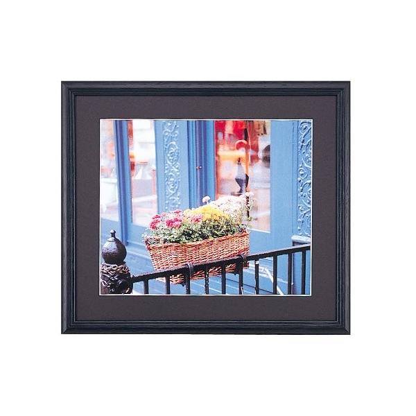  tWJ[ tHgt[   Ǌ| z Wp  xmtB ؐz YM-3 6 ubN