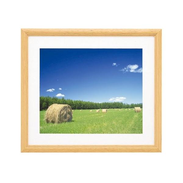  tWJ[ tHgt[   Ǌ| z Wp  xmtB ؐz YM-3 AN fW^A3