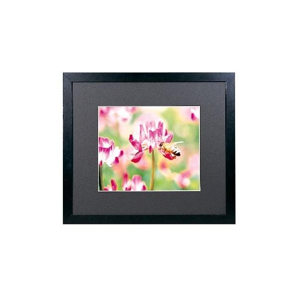  tWJ[   z Ǌ| g Wp  xmtB ؐz Ch} bgt[ M3000 fW^A3mr ubN