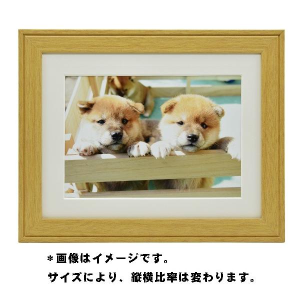  tWJ[ tHgt[   Ǌ| z Wp  xmtB ؐz YM-9 ؒn Lrl 2LTCY