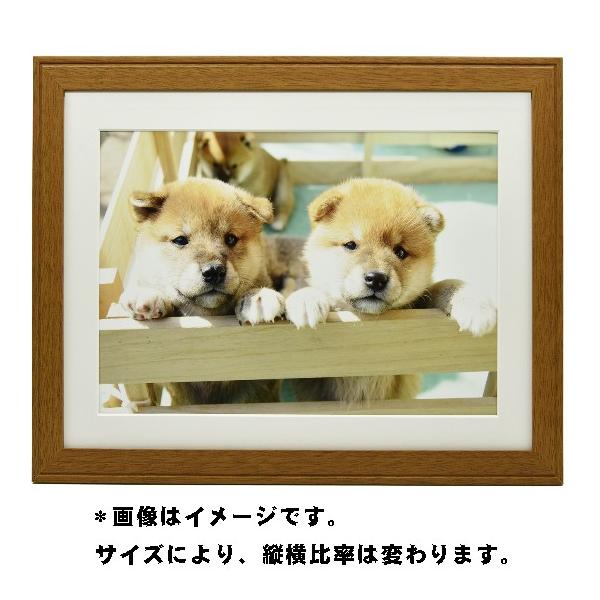  tWJ[ tHgt[   Ǌ| z Wp  xmtB ؐz YM-9 uE A4TCY