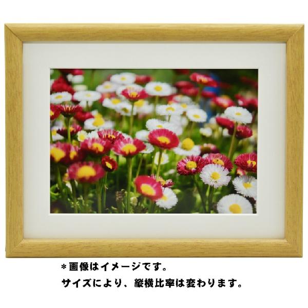  tWJ[ tHgt[   Ǌ| z Wp  xmtB ؐz M20 ؒn STCY