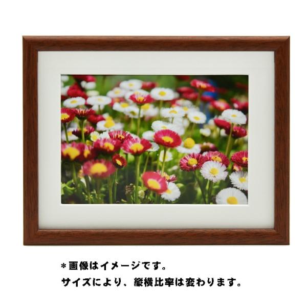  tWJ[ tHgt[   Ǌ| z Wp  xmtB ؐz M21 uE 6؃TCY