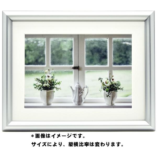  tWJ[ tHgt[ Vv  Ǌ| z Wp  xmtB A~z YA-5 Vo[ A3mrTCY