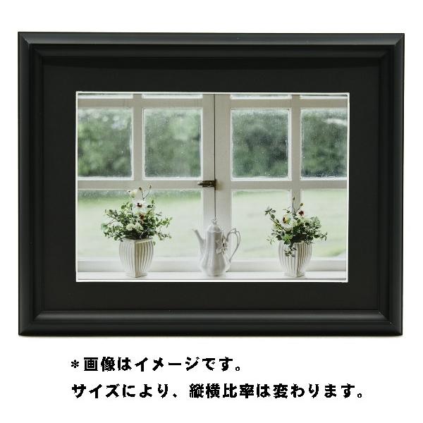  tWJ[ tHgt[ Vv  Ǌ| z Wp  xmtB A~z YA-6 ubN A3TCY
