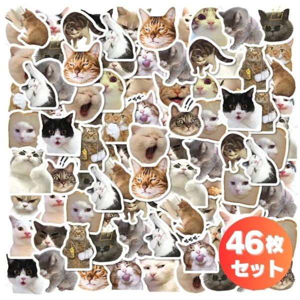 monobase2021_z209-cat-sticker