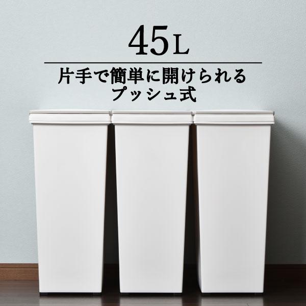 ゴミ箱 ごみ箱 おしゃれ 分別 キッチン スリム ふた付き 蓋つき 袋 見えない プッシュ プッシュ式 キャスター キャスター付き エバンペール45l 039a 027 モノギャラリー 通販 Yahoo ショッピング