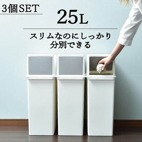 Like-it（ライクイット） ゴミ箱 おしゃれ フタ付き 分別 縦型 2段