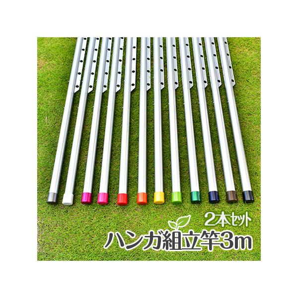 物干し竿 組み立て式 ハンガー掛け付き 1本竿 サビない 32パイ 2本 長さ 3m シルバ色 キャップの色が選べる 屋外 屋内 ベランダに最適な ものほし竿 洗濯ざお