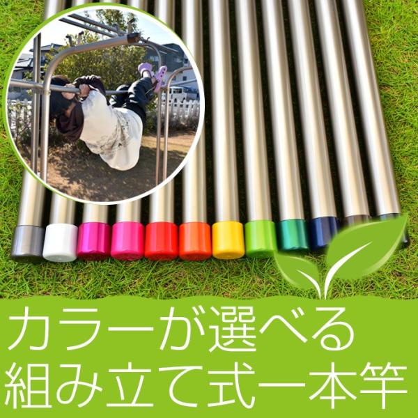 物干し竿 組み立て式 1本竿 サビない 32パイ 長さ 2.5m シャンパンゴールド色 キャップの色が選べる 屋外 屋内 ベランダ ものほし竿 洗濯ざお