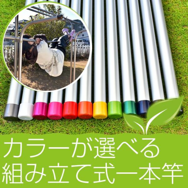  gݗĎ 1{ TrȂ 32pC  4m VoF Lbv̐FIׂ O  x_ɍœK ̂ق 󂴂