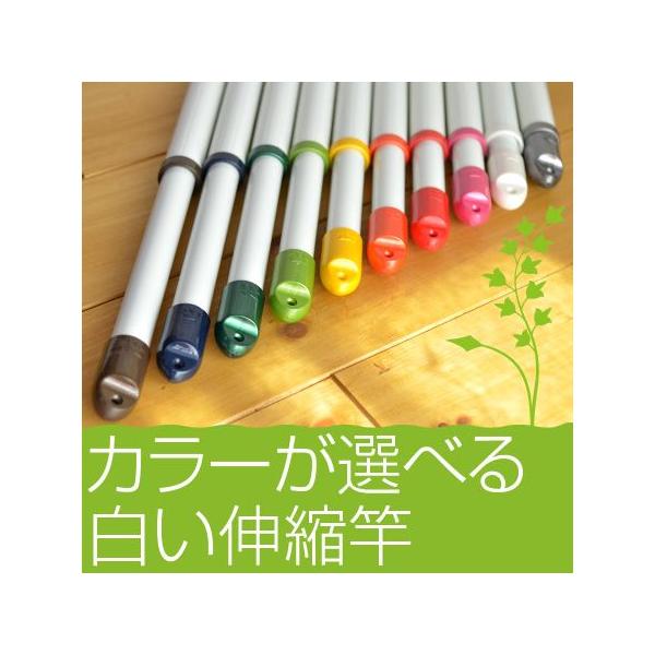  LkƁi1.1mP.6m܂ŐLтjzCg    ݂邷 x_