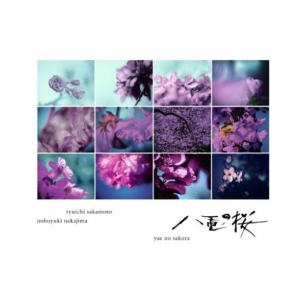 CD/坂本龍一・中島ノブユキ/NHK大河ドラマ オリジナル・サウンドトラック コンプリート盤 「八重の桜」 (紙ジャケット)【Pアップ