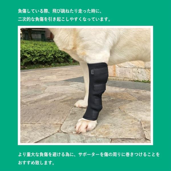 犬用 関節 足根 ひざ サポーター 骨折治療 プロテクター 膝サポーター ケア リハビリ 捻挫 筋挫傷 外科用 傷を保護 片足 2枚 Buyee Buyee 日本の通販商品 オークションの代理入札 代理購入