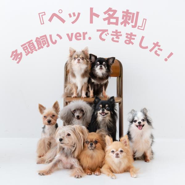 【ご注文の流れ】　(1)ご希望のテンプレートをお選び下さい。(5種類)　(2)項目選択肢をお選び下さい。　(3)オプションにお名前などご希望の記載情報をご入力下さい。　　  別途追加オプションのご購入でロゴやイラスト・QRも入れられます。　...