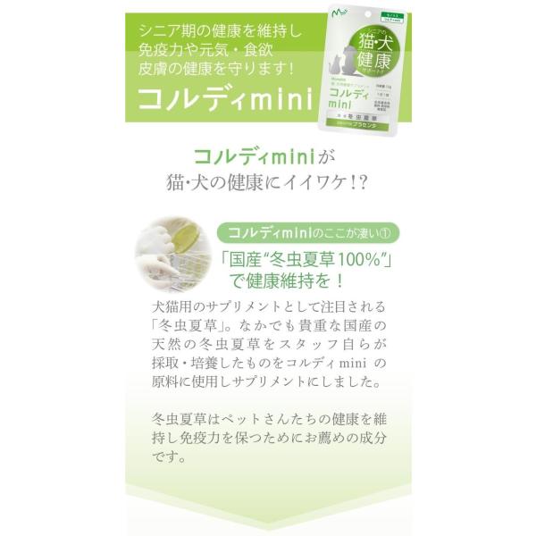 シニア期の免疫力や肝臓 皮膚をサポートし健康を維持します ギガランキングｊｐ