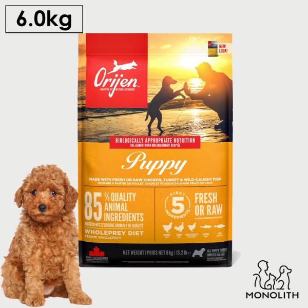 ドッグフード ペットフード 無添加 オリジンパピー 6kg 正規品 子犬用 パピー 体重管理 肥満 肉 内臓 軟骨 高蛋白質 酵素 必須アミノ酸