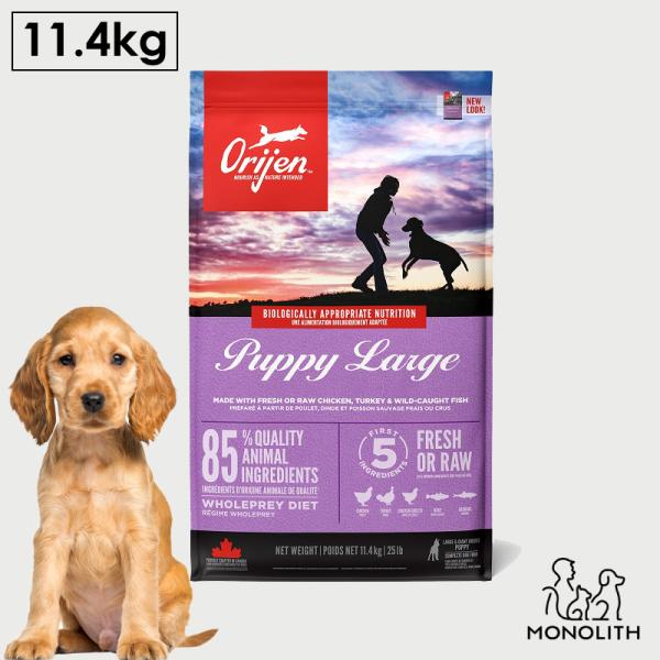 ドッグフード ペットフード 無添加 オリジン パピーラージ 11.4kg 正規品 大型犬の子犬用 子犬 体重管理 肥満 高蛋白質 酵素 必須アミノ酸