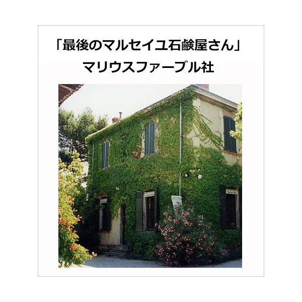 マルセイユ石鹸 ビッグバー 木箱入り マリウスファーブル社 正規販売会社 Buyee Buyee 日本の通販商品 オークションの代理入札 代理購入