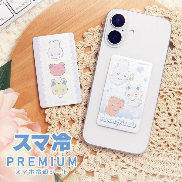 monomode_ppmt-02