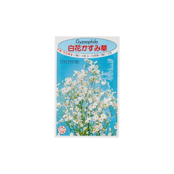 生花 花束 カスミソウ 種の人気商品 通販 価格比較 価格 Com