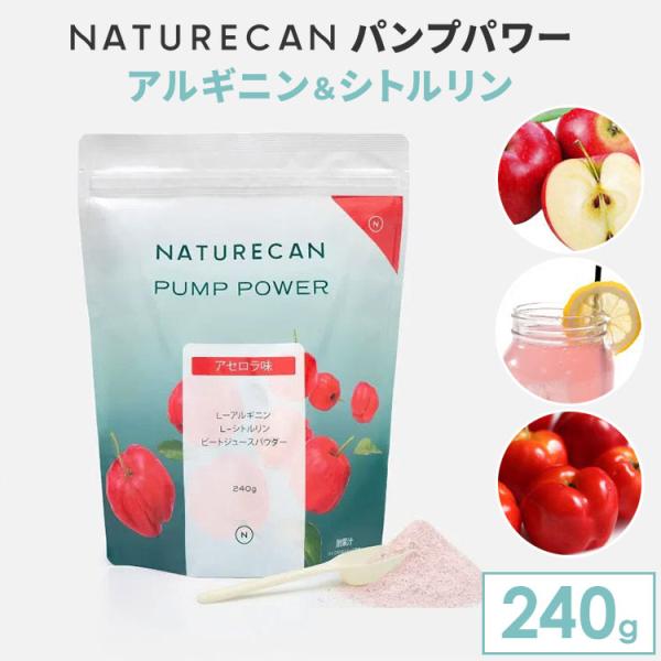 他サイト： NATURECAN パンプパワー アルギニン＆シトルリン 240g 粉末 パウダー アミノ酸 ビタミン サプリ トレーニング 筋トレ ネイチャーカン メール便無料の商品画像