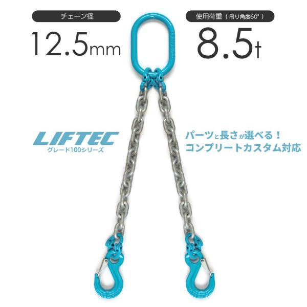 2本吊りチェーンスリング 特注WEBカスタム 使用荷重:8.5t φ13mm 2本吊りチェーンスリング 特注WEBカスタム 使用荷重:8.5t φ13mm