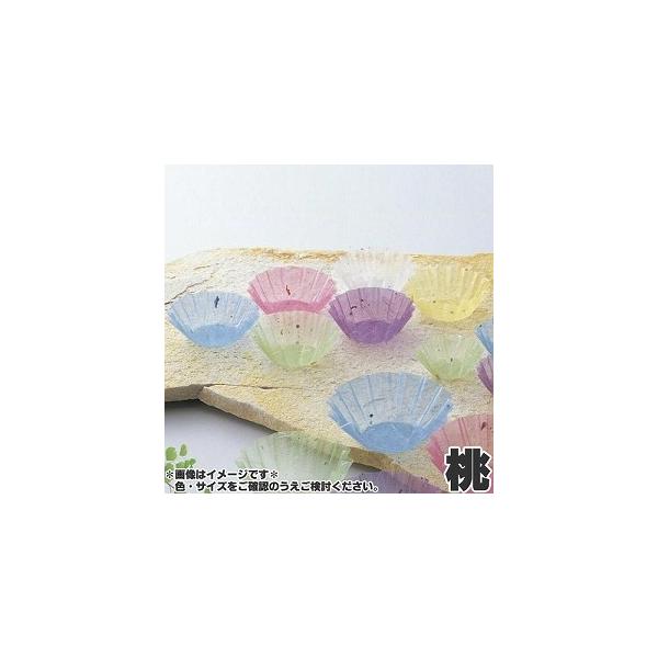 }C@Ɩp@OJbv@@@75mm@500@M33-558