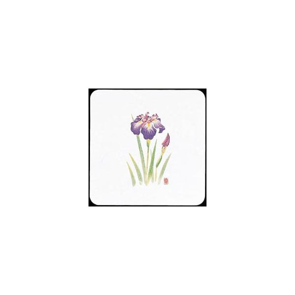 V-ZEN@ĝā@a@R[X^[@lG@p@߁@WCO-K4@50