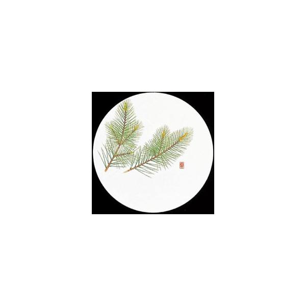 V-ZEN@ĝā@a@R[X^[@lG@ہ@@WCO-M1@50