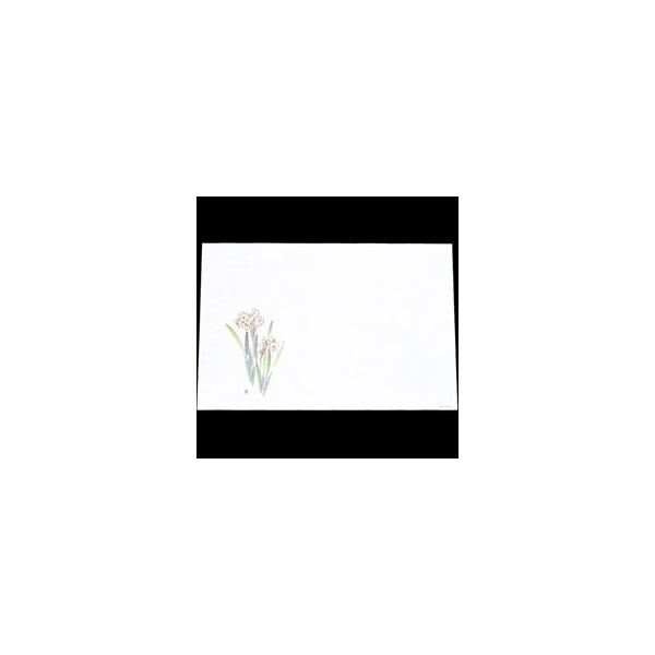 V-ZEN@ԍRۘa@΃}bg@ڎO܂Ɓ@390×264mm@@WS-8@100