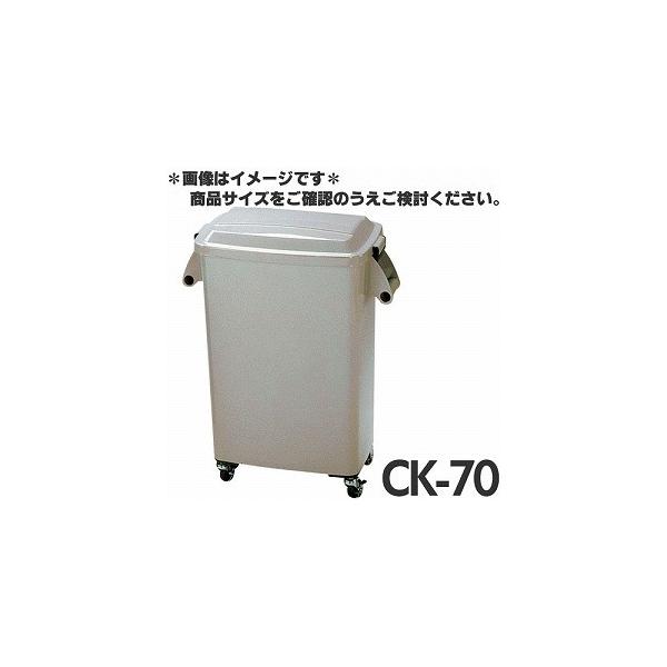 A ~[y[ LX^[t CK-70 O[