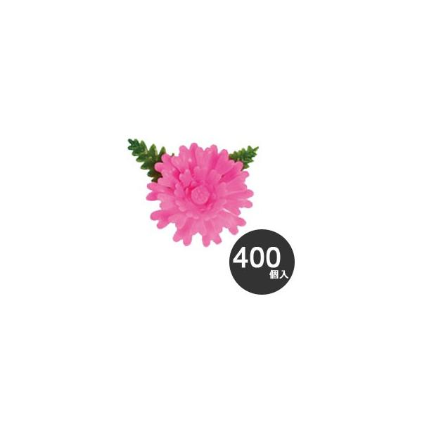 nƁ@Ɩp@ĝā@pށ@@ԁ@~j@e@sN@400