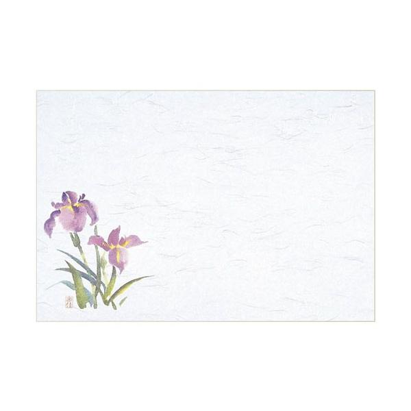 }C@Ɩp@ĝā@e[u}bg@lG@@39×26.5cm@߁i4|5j@100@M30-207@