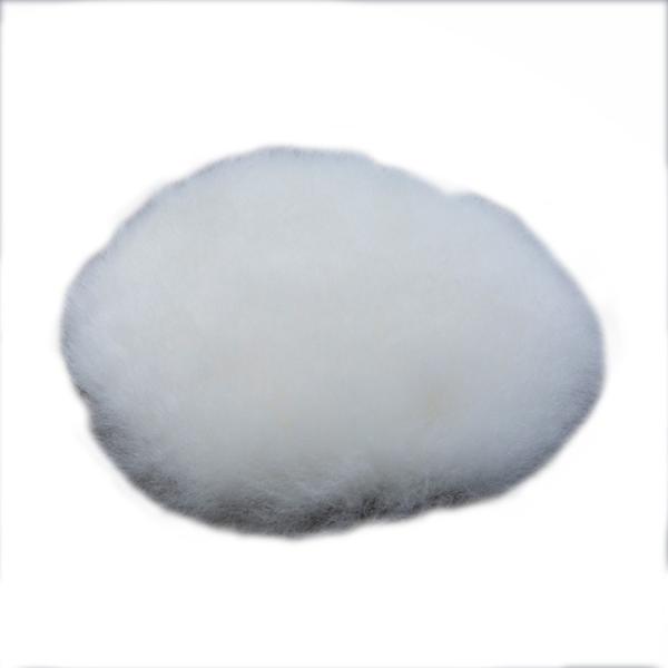 }L^@A-60785@|bVp@E[pbhPQOmm PO500D/PO5000Cp@