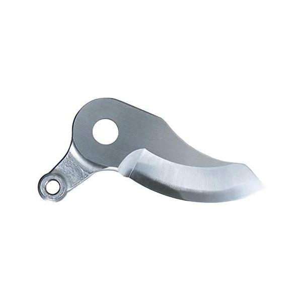 }L^@A-65604@nT~֐n V[u[hd}pni͂܂nj@