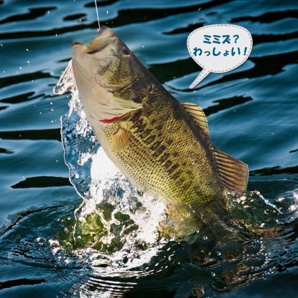 超リアルそのもの 本物転写 魚 化粧ポーチ ペンケース ペンポーチ ブラックバス Black Bass Buyee Buyee Japanese Proxy Service Buy From Japan Bot Online