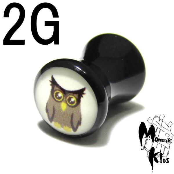 (tNE) sN`[fUC _utAvO o[W2.0 2G(6.2mm) BPPL-08OWL-02G OtBbN {fBsAX/{fB[sAX ʐ^ sNX