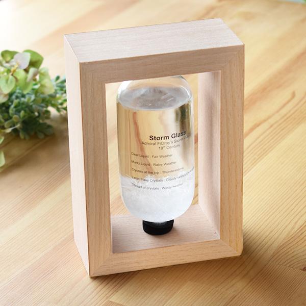 Xg[OX {g VC\  V ȊwG Cۗ\ CeA a Vzj NX}Xv[g Mtg IT445-STGBT