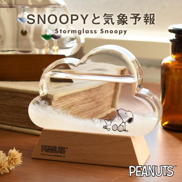 ストームグラス スヌーピー クラウド ピーナッツ snoopy グッズ 大人向け 科学雑貨 天気 結晶 誕生日 プレゼント ギフト IT571-333274