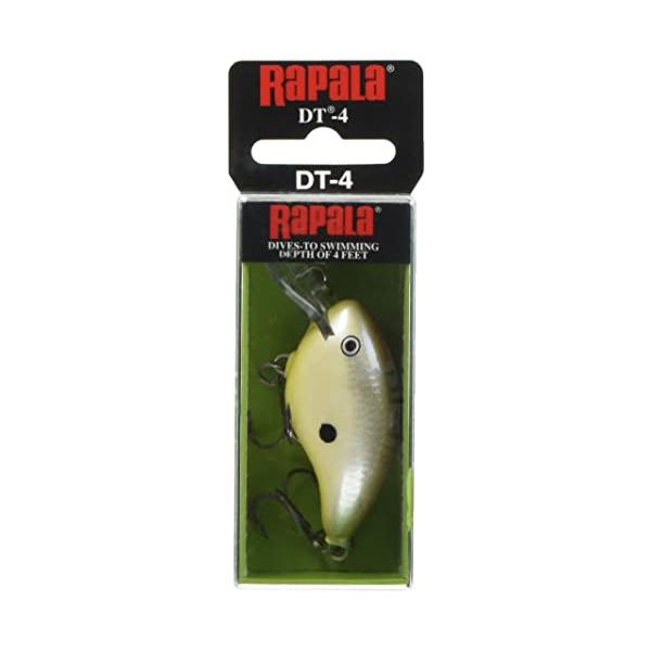 ラパラ(Rapala) ダイブス トゥ DT6 5cm / 12g DSSD (ディスコシャッド)